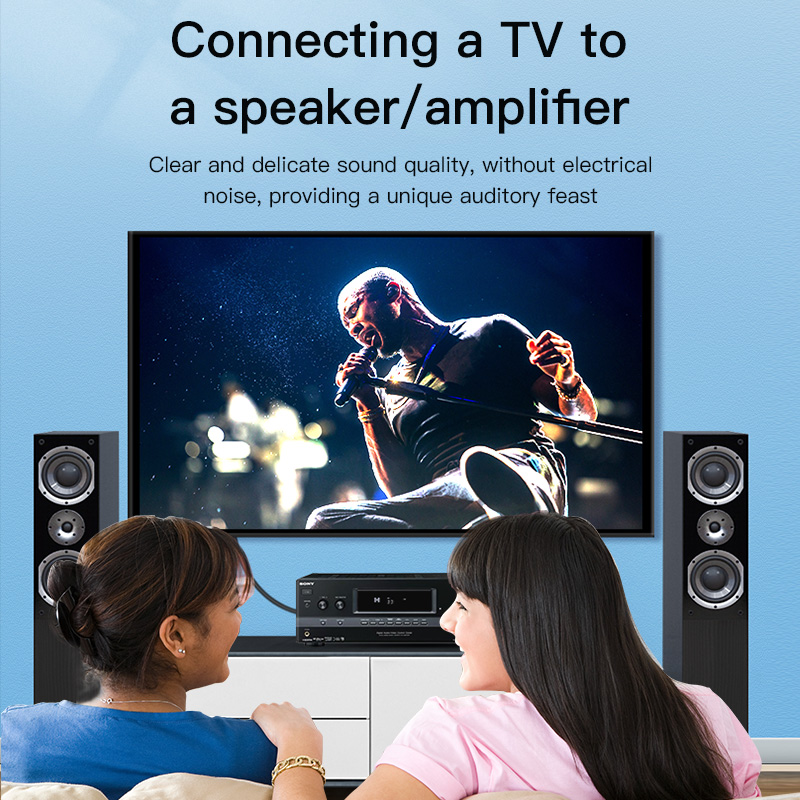 CHOSEAL สาย RCA สายสัญญาณเสียง - Home Cinema Tv บทวิจารณ์และราคา